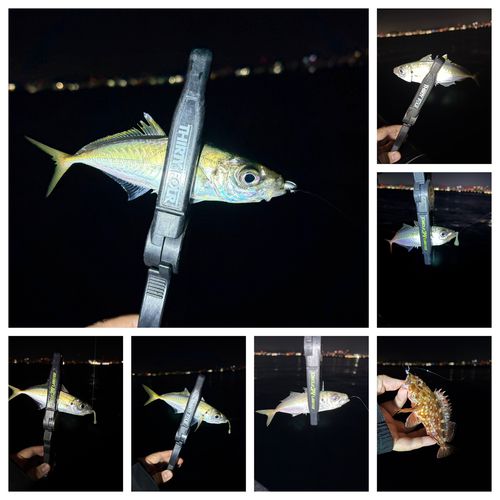 神戸空港親水護岸