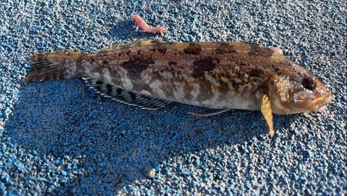 新地町海釣り公園
