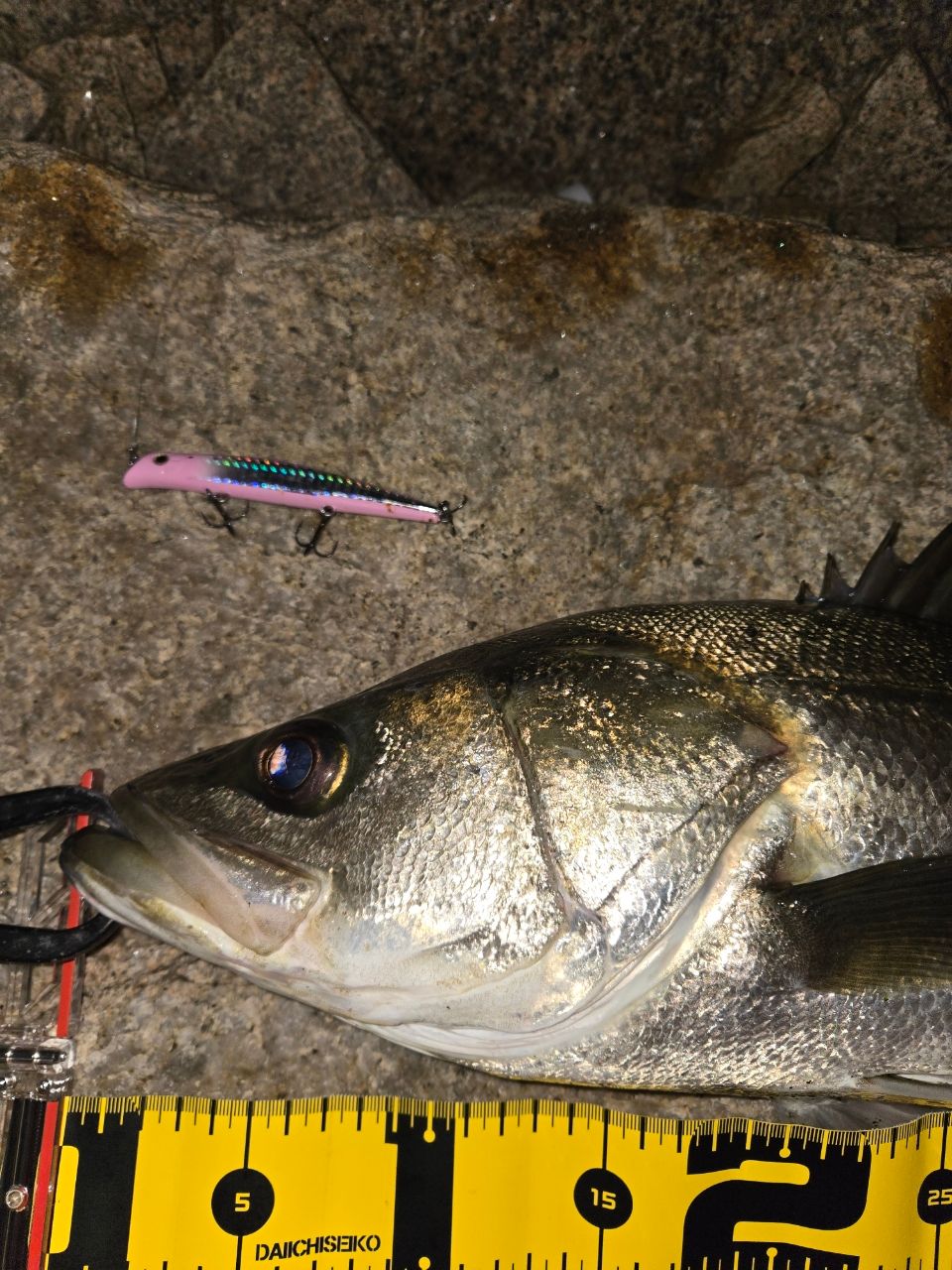 SHIMANO 23ディアルーナ S96MHの最安値・インプレ・釣果 | 本音の