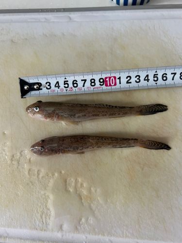 小樽港厩町岸壁