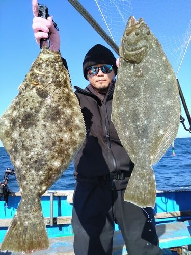 ヒラメの釣果