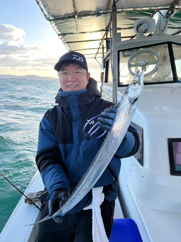 タチウオの釣果