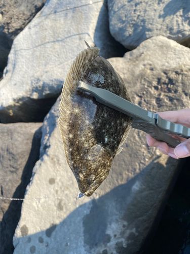 茅ヶ崎ヘッドランド