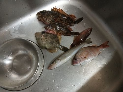 周防大島（屋代島）