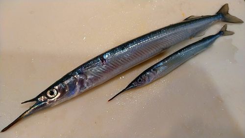 小名浜港アクアマリンふくしま周辺