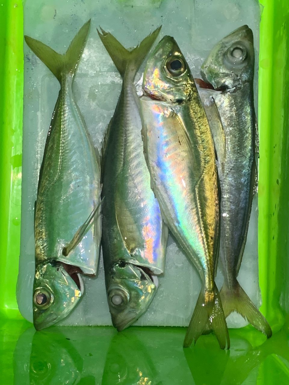 OLYMPIC 23コルト UX 23GCORUS-572UL-HSの最安値・インプレ・釣果