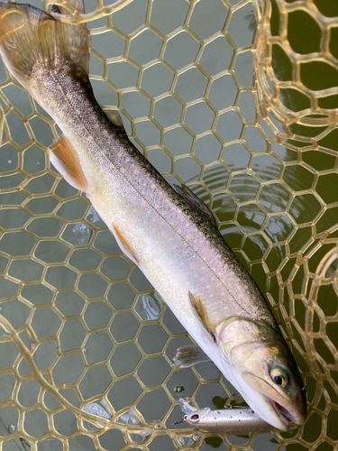 フィッシャーリゾート しょうばら