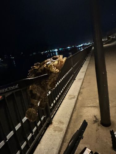 宇品波止場公園