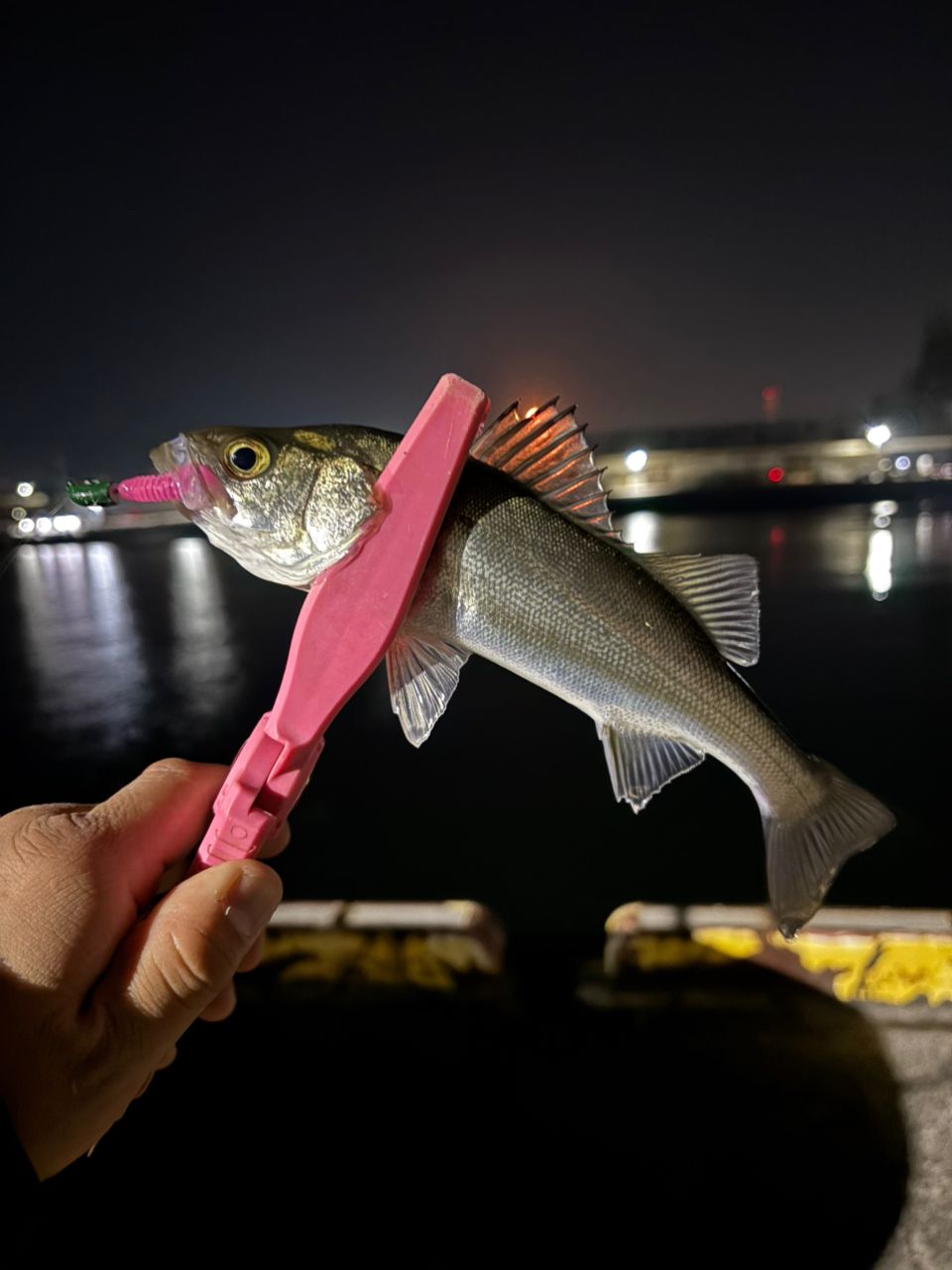 SHIMANO 22ソアレ SS アジング S48SUL-Sの最安値・インプレ・釣果