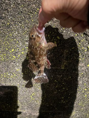 横浜ベイサイドマリーナ付近