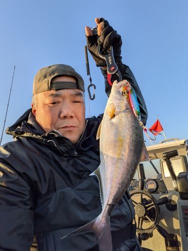 ショゴの釣果