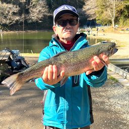 ロックトラウト