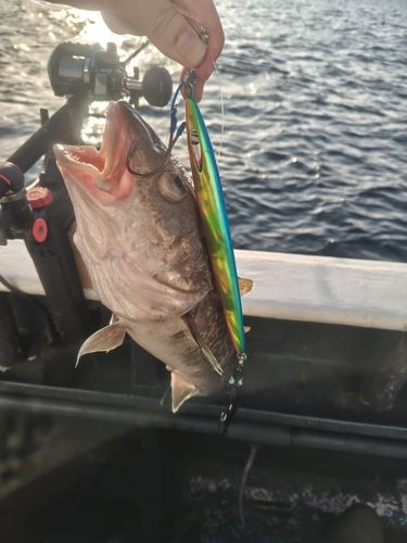 三陸海岸（岩手）