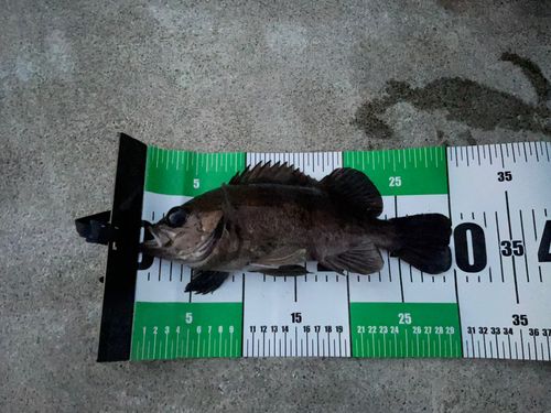 三陸海岸（宮城）