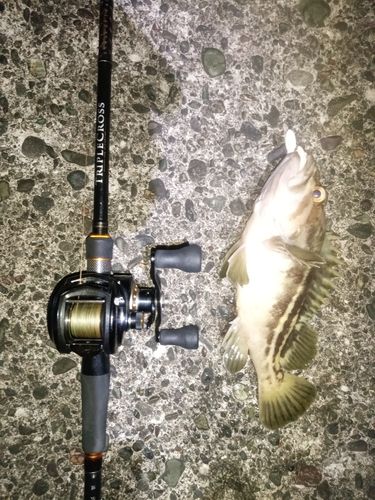 苫小牧港防波堤