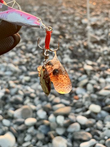 大浜海岸（静岡）