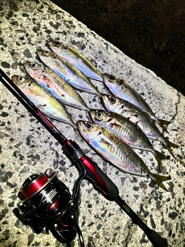 周防大島（屋代島）