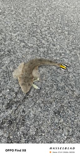 西原・与那原マリンパーク