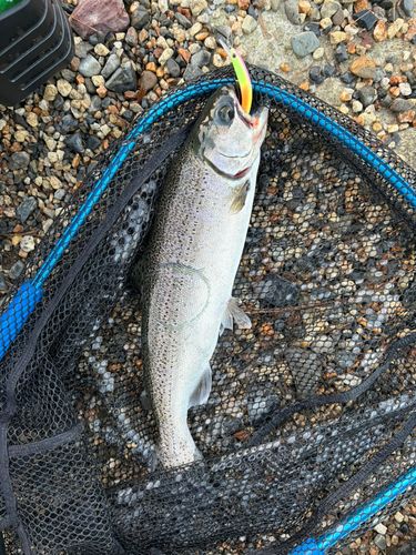 フィッシングパーク高島の泉