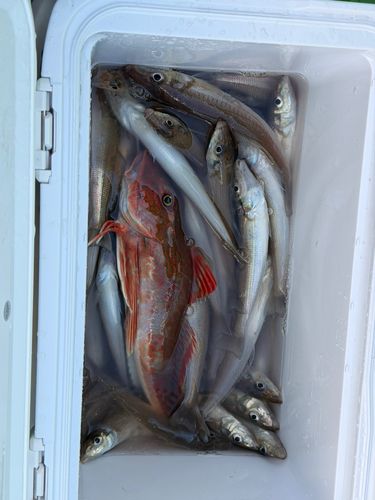 東京湾（アクアライン〜富津）