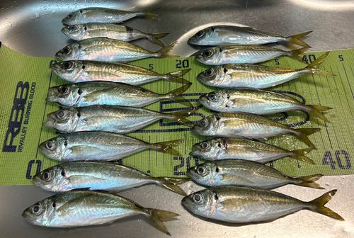 小名浜港アクアマリンふくしま周辺