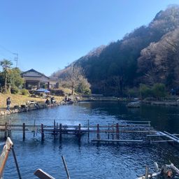 レインボートラウト