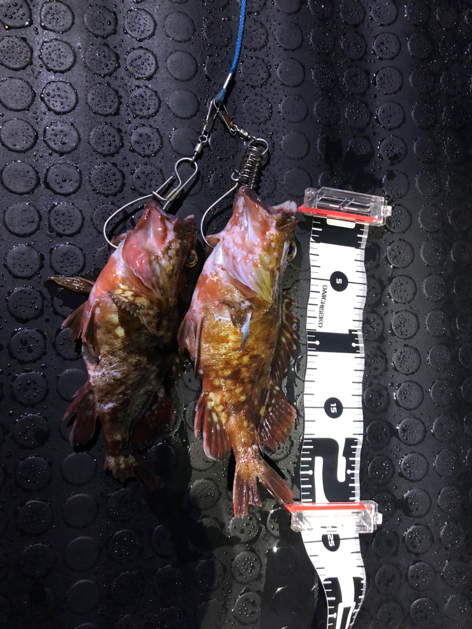 DAIWA 19チヌマスター 90の最安値・インプレ・釣果 | 本音の口コミが