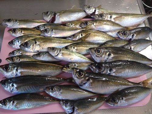 小名浜港アクアマリンふくしま周辺