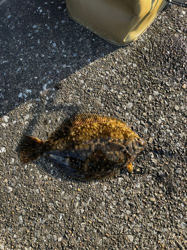 千葉港中央埠頭