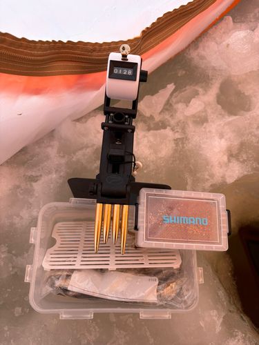 ワカサギの釣果