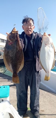 ヒラメの釣果