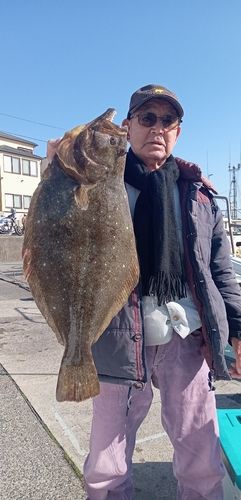 ヒラメの釣果