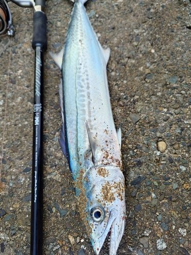 塩屋海岸（石川）