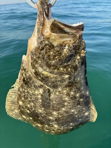 新舞子海岸（富津）