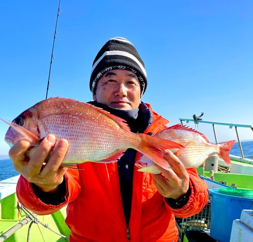 マダイの釣果