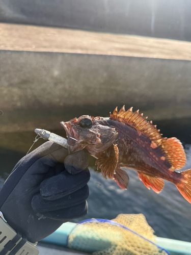 東京ゲートブリッジ付近