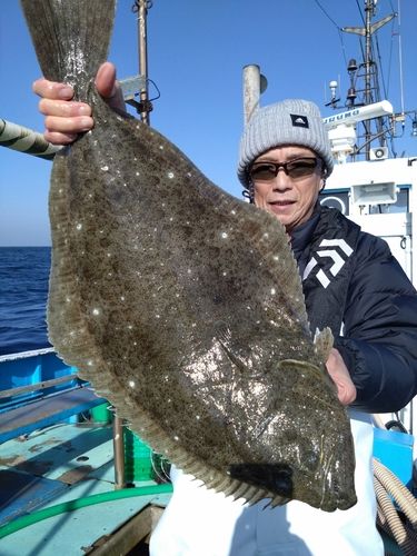 ヒラメの釣果