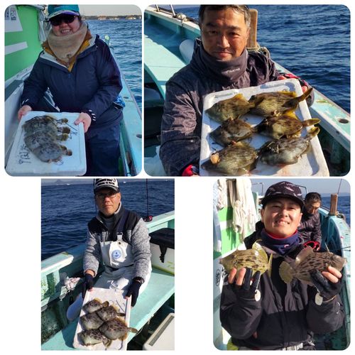 カワハギの釣果