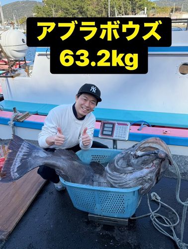 アブラボウズの釣果