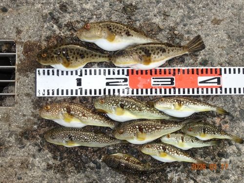 アジュール舞子