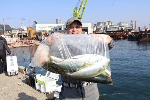 ハマチの釣果