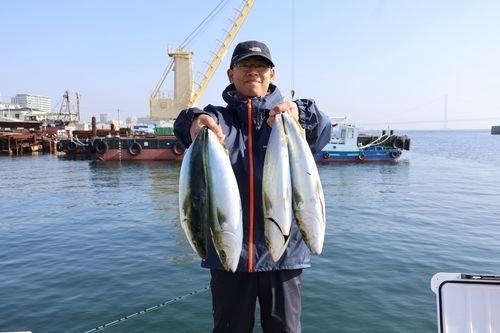 ハマチの釣果