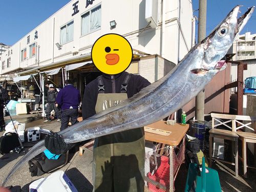 タチウオの釣果