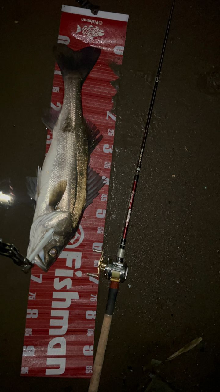 Fishman ビームス CRAWLA 8.3L＋の最安値・インプレ・釣果 | 本音の