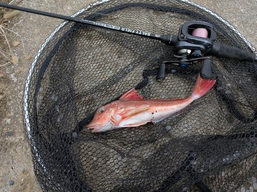 三陸海岸（宮城）