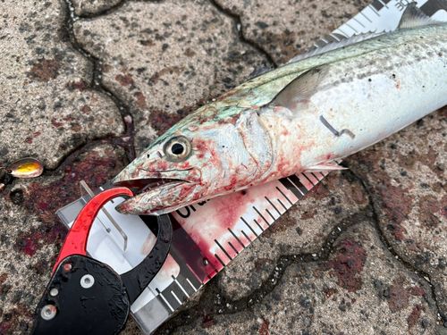 鞠山海遊パーク