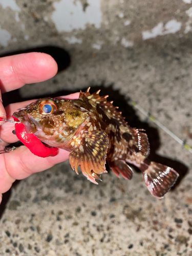 アジュール舞子