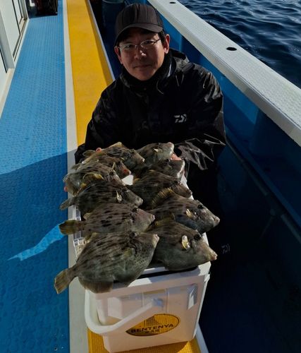 カワハギの釣果