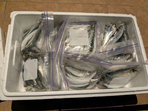 小名浜港アクアマリンふくしま周辺