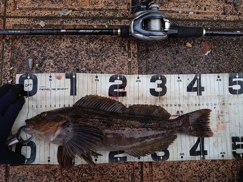 三陸海岸（青森）